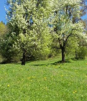 Idrija Apartment | Apartma pri Ivanu Spodnja Kanomlja 49
