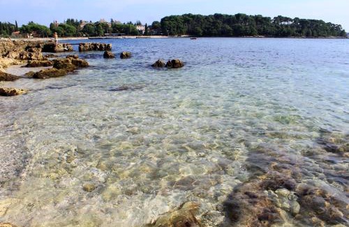 Borik House | Family-friendly house with hot tub Rovinj - 25514