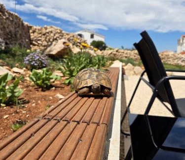Vinjerac House | Holiday House Venier