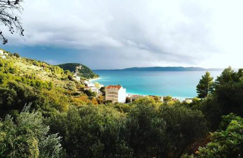 Zivogosce House | Borovik Guest House