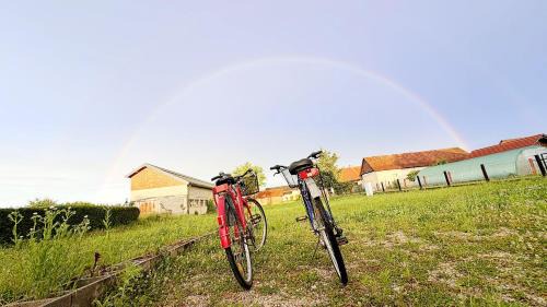 Dobova House | Casa Dijana - a quiet house with a garden near the spa