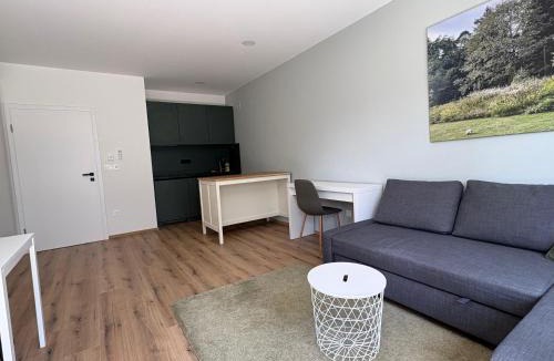 Medvode Apartment | Zbilje Lakeside Apartment