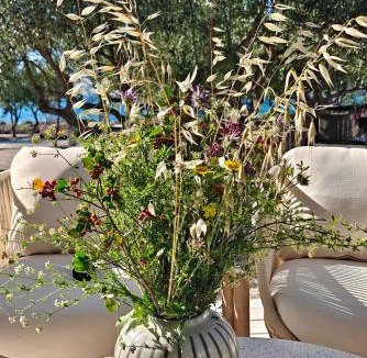 Tijesno House | Jazine BeachVilla5