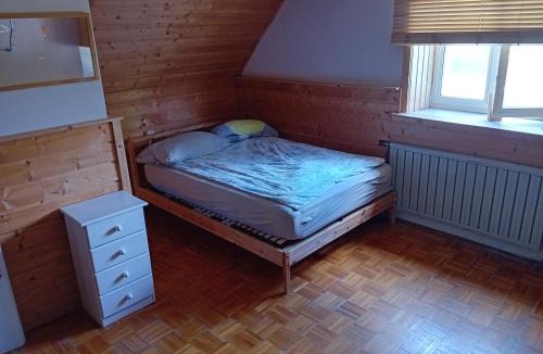 Log pod Mangartom House | Planinski dom Hermanov Hram