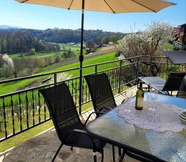 Ormoz Villa | Villa Nives, wine region Jeruzalem