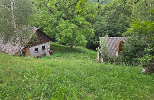 Smarje pri Jelsah House | Haus im Wald