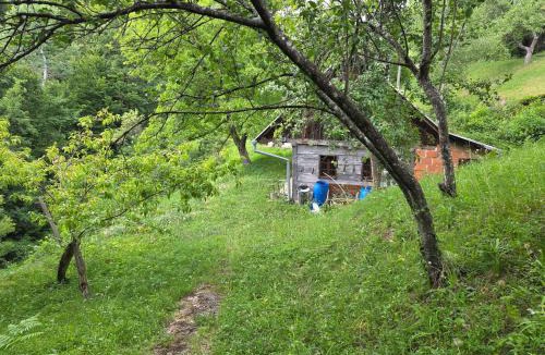 Smarje pri Jelsah House | Haus im Wald