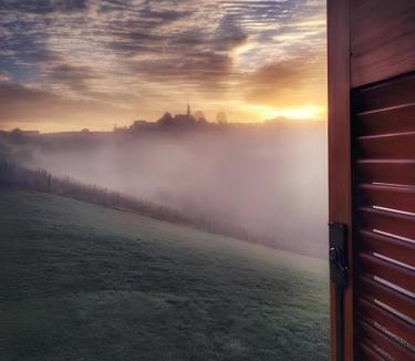 Ormoz Villa | Villa Nives, wine region Jeruzalem