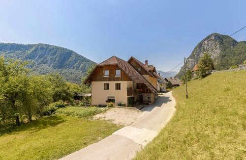 Bohinj Apartment | Apartma Ani