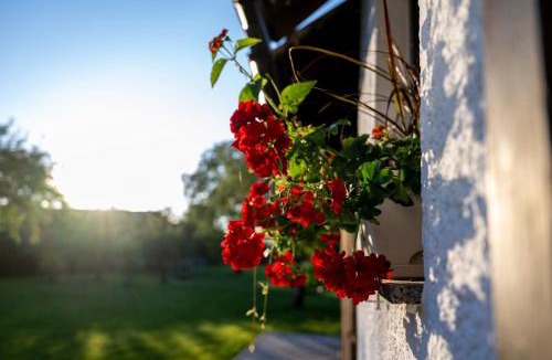 Lesce Villa | Entire Villa for 6 near Bled -Private Garden, Grill & Free Parking