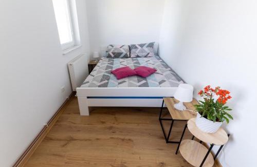 Miren-Kostanjevica Apartment | Apartma Luketovi
