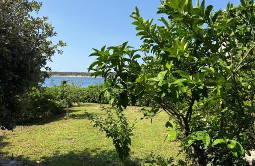 Barbat na Rabu Apartment | Apartments Kaja