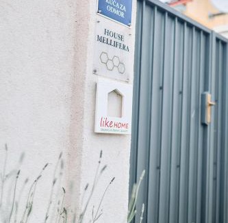 Razvode House | House Mellifera