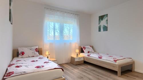 Radini Villa | Beautiful villa Petar with pool in Brtonigla