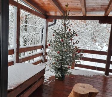 Gracac House | De Luxe mobilna kuća Kijani, 44m2