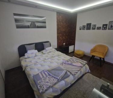 Gornji Milanovac Apartment | Leon