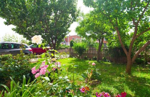 Dobropoljana Apartment | Apartments Miljenko