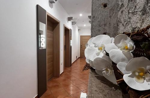 Sezana Hotel | Hotel Grahor Depandance