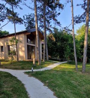 Crnice House | Pinja gozdne hiške