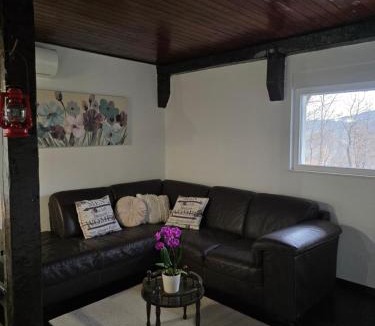 Vrlika Apartment | Kuća za odmor Elena