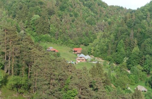 Dobrova-Polhov Gradec Apartment | Forrest Farmstay Apartments with a Pool