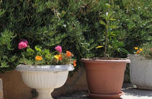 Island Dugi Otok Apartment | Apartments by the sea Sali, Dugi otok - 443
