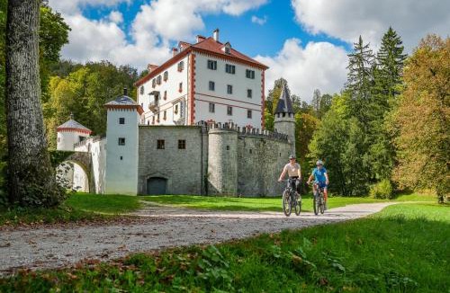 Kozarisce Apartment | Snežnik castle estate