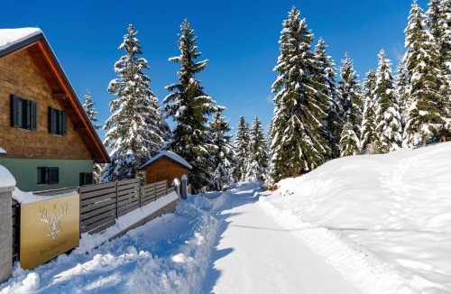 Ravna Gora Villa | Villa Stella Verde - Wellness Villa with a swimming pool, hot tub and sauna