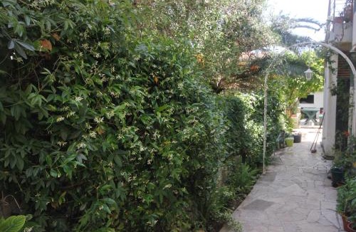Orebic Apartment | Apartments with parking space Orebic, Peljesac - 10075