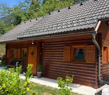 Studor House | Cottage Ladybug