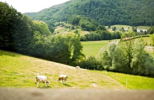 Olimje House | Tourist farm Mraz