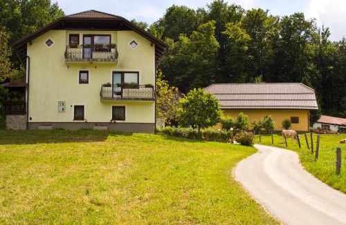Olimje House | Tourist farm Mraz