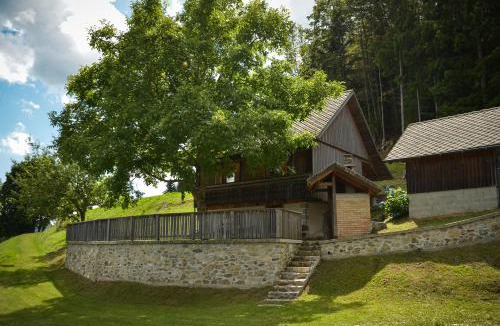 Gornji Grad House | Koča v Lozah