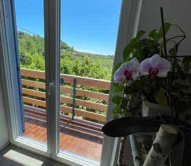 Lucija Apartment | Apartma Salvia-Guest House, Portorož