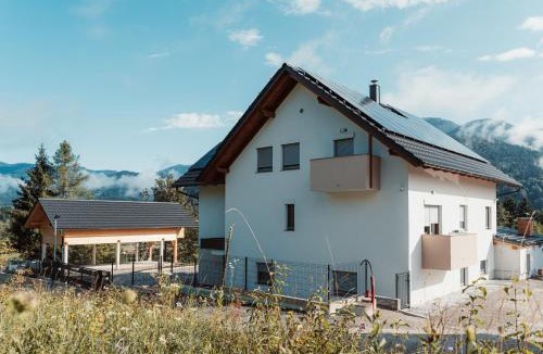 Ljubno Apartment | Apartmaji Laznik