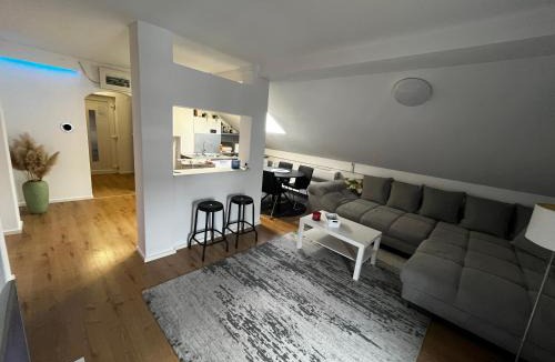 Sisak Apartment | House in Village apartman Jelić