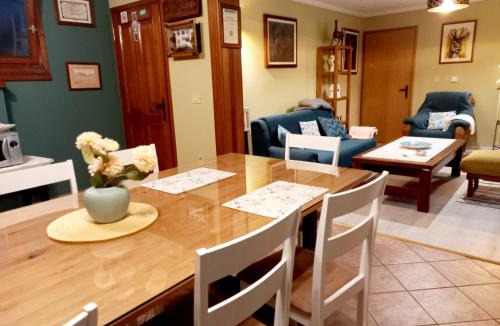 Murine Apartment | BLUE DEER