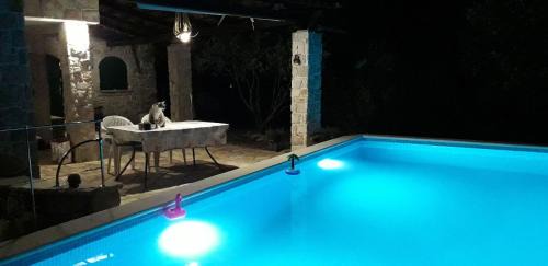 Veliki Drvenik House | House Robinson Tiziana