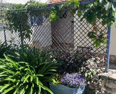 Petrcane Apartment | Charming holiday apartment near beach