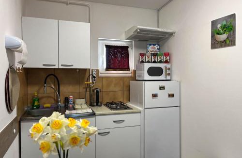 Kutina Apartment | Apartmani MOSLAVINA i parking