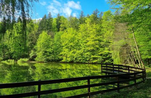 Smarje pri Jelsah Ski Chalet | Cottage by the pond Pavel