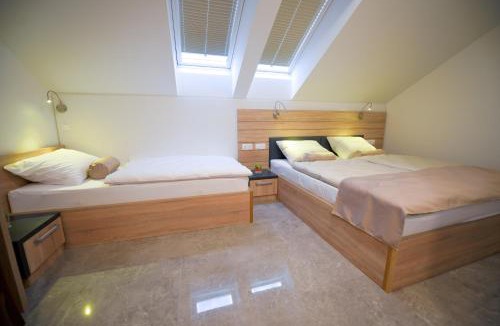 Smlednik Hotel | HOTEL BARON