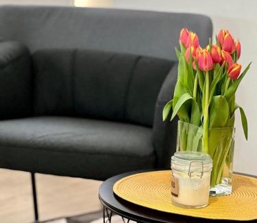 Dubrovnik Old Town Apartment | Apartments Noa Old Town