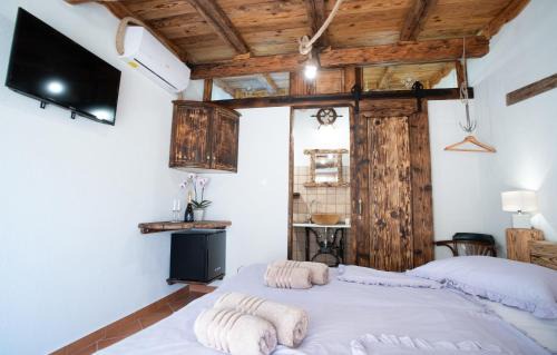 Secovlje House | Casa Coronica