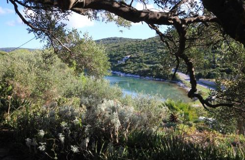 Cove Rogacic House | Seaside holiday house Cove Parja, Vis - 8892