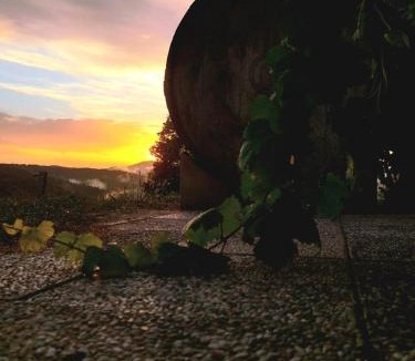 Hrastnik House | Zerko Holiday Home - Vineyard Chalet With Sauna and Jacuzzi FREE