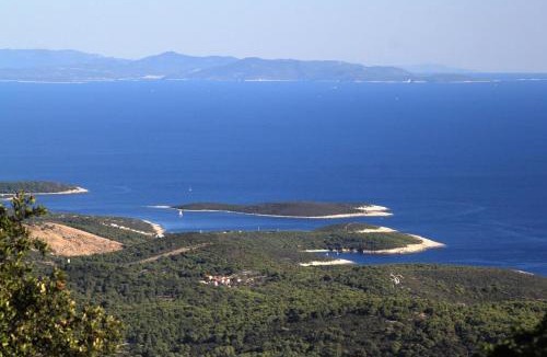 Rukavac Apartment | Apartments with parking space Rukavac, Vis - 8897