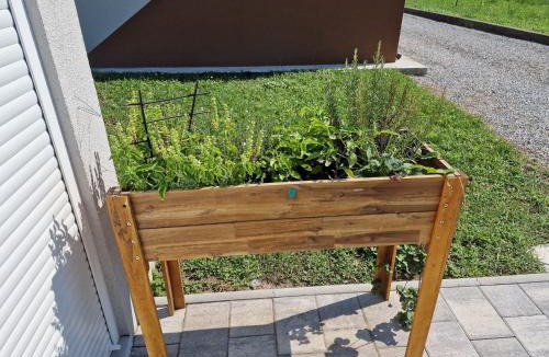 Kutjevo Villa | Kuća za odmor GRAŠEVINA
