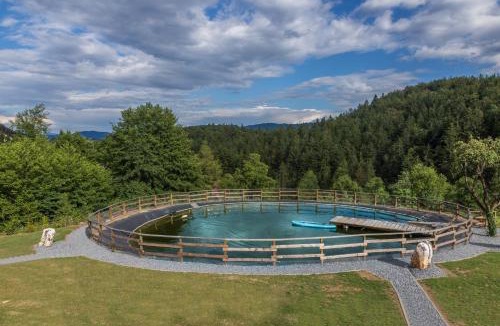 Vidrga House | Lake Cottage - Koča ob jezeru