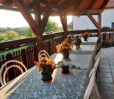 Postojna Bed & Breakfast | Rooms Čehovin